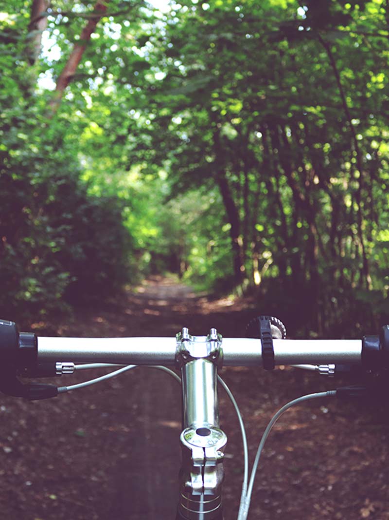 TrailBlazingatFirtDuPont-01